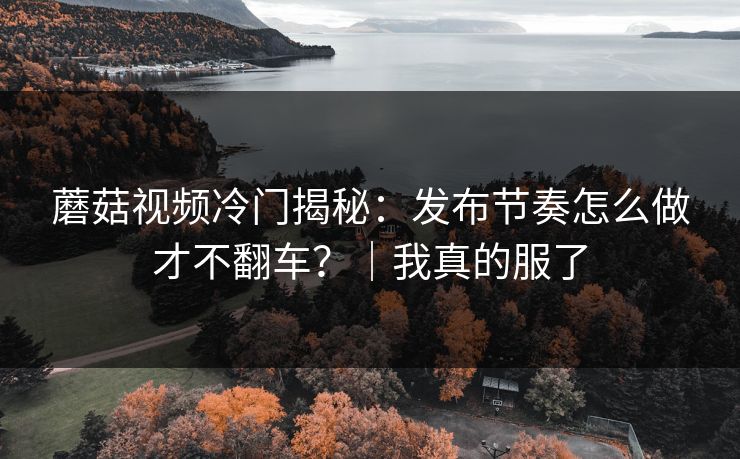 蘑菇视频冷门揭秘：发布节奏怎么做才不翻车？｜我真的服了